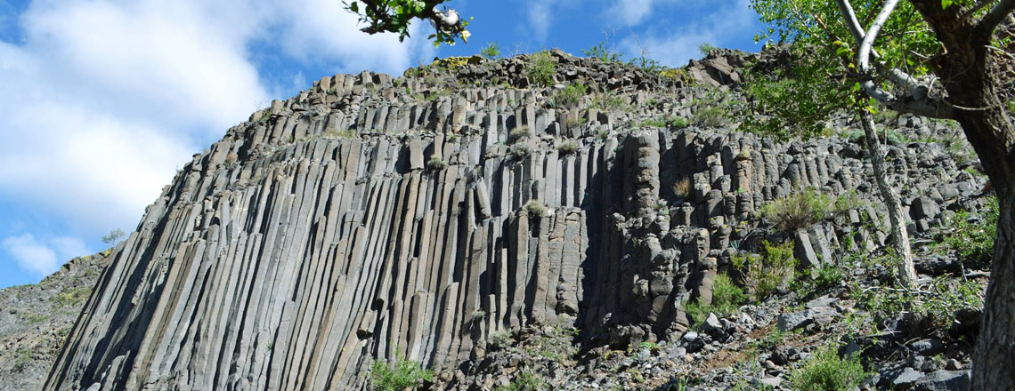 Салхитын хясаа